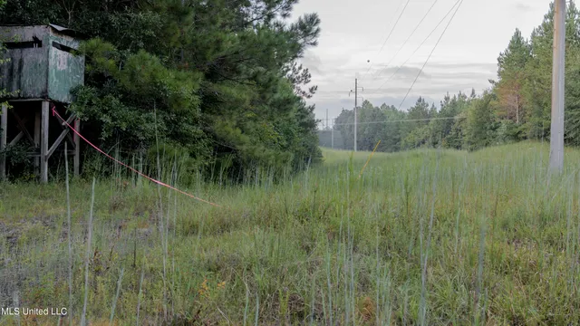 $176,640 | Airport Road, Newton, MS 39345