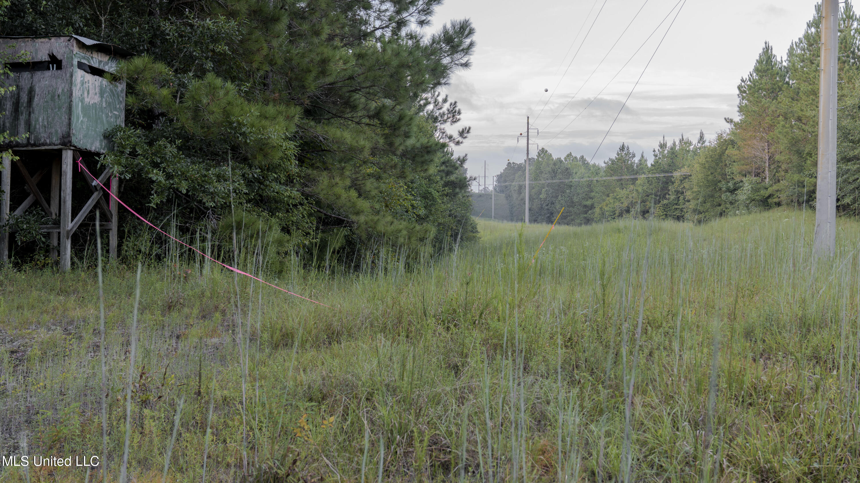 Airport Road Newton, MS 39345 - Photo 28 of 50 15MB-MLS Site-21