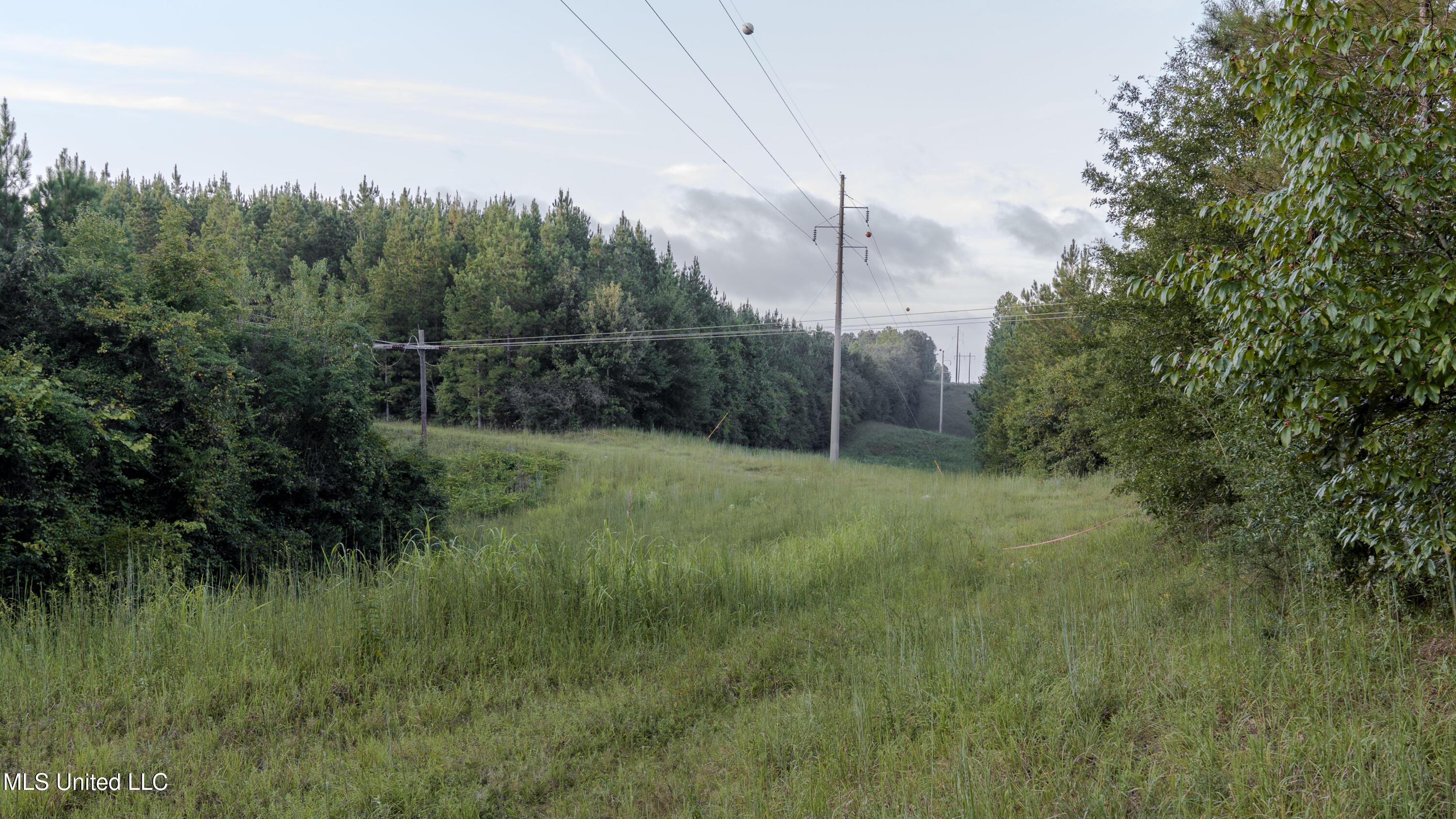 Airport Road Newton, MS 39345 - Photo 33 of 50 15MB-MLS Site-20