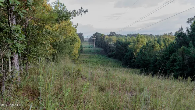 $176,640 | Airport Road, Newton, MS 39345