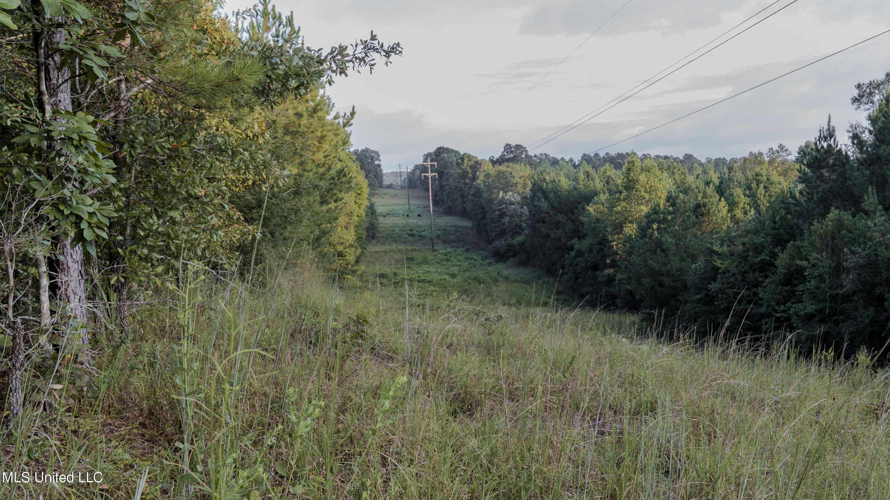 Airport Road Newton, MS 39345 - Photo 35 of 50 15MB-MLS Site-18
