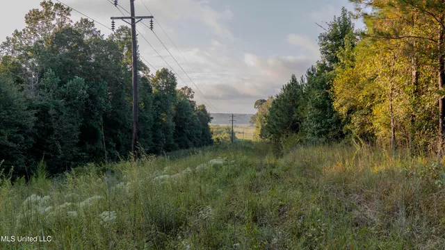 $176,640 | Airport Road, Newton, MS 39345