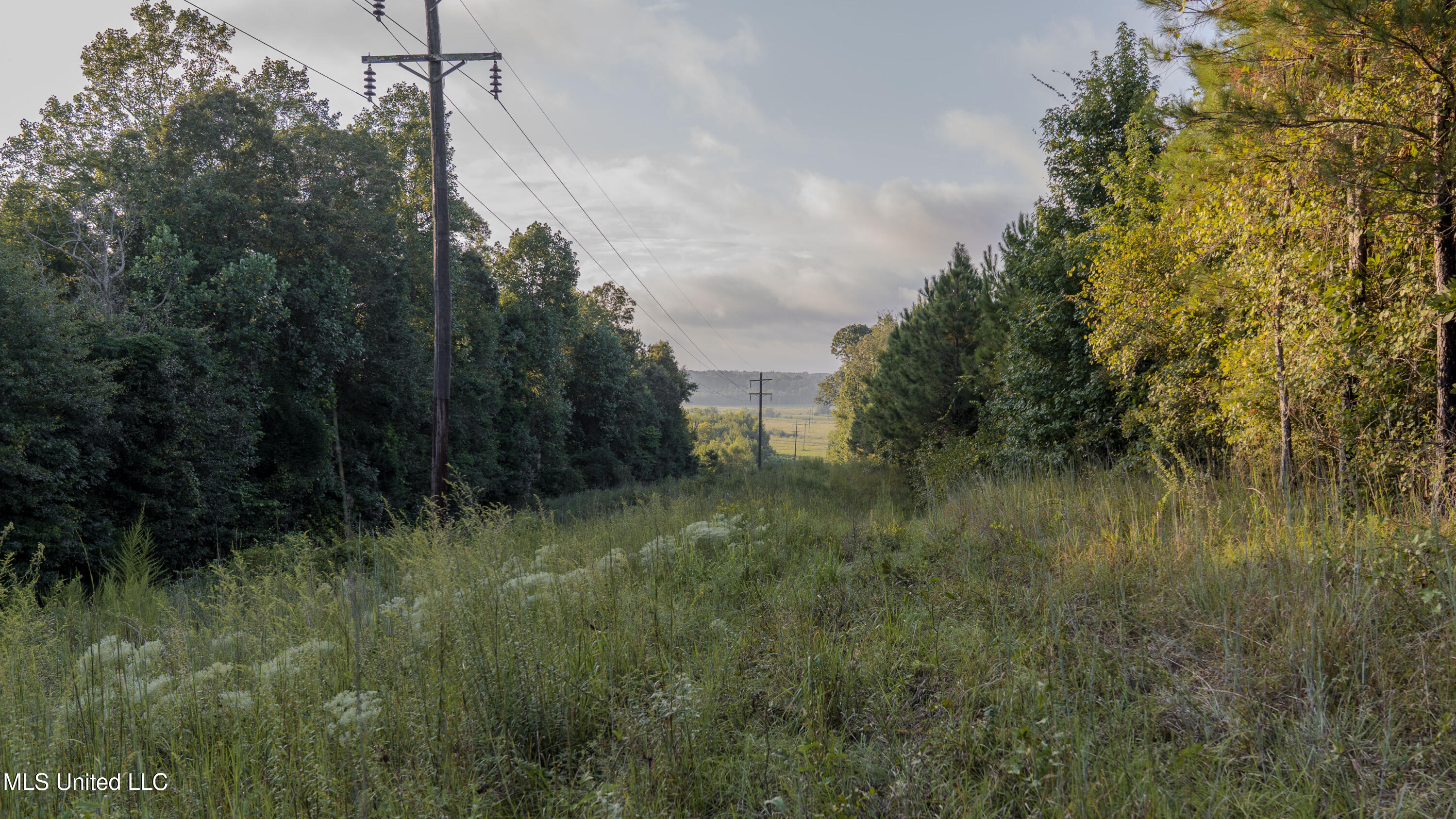 Airport Road Newton, MS 39345 - Photo 37 of 50 15MB-MLS Site-16