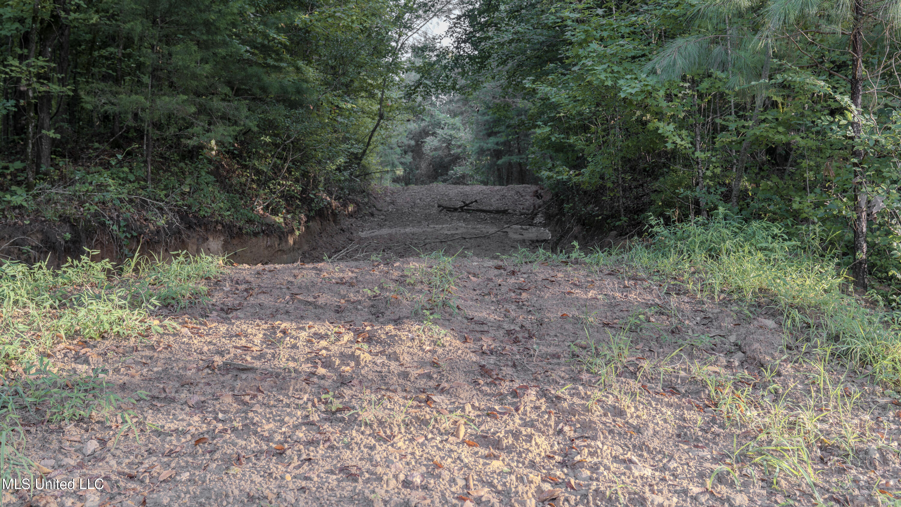 Airport Road Newton, MS 39345 - Photo 38 of 50 15MB-MLS Site-11