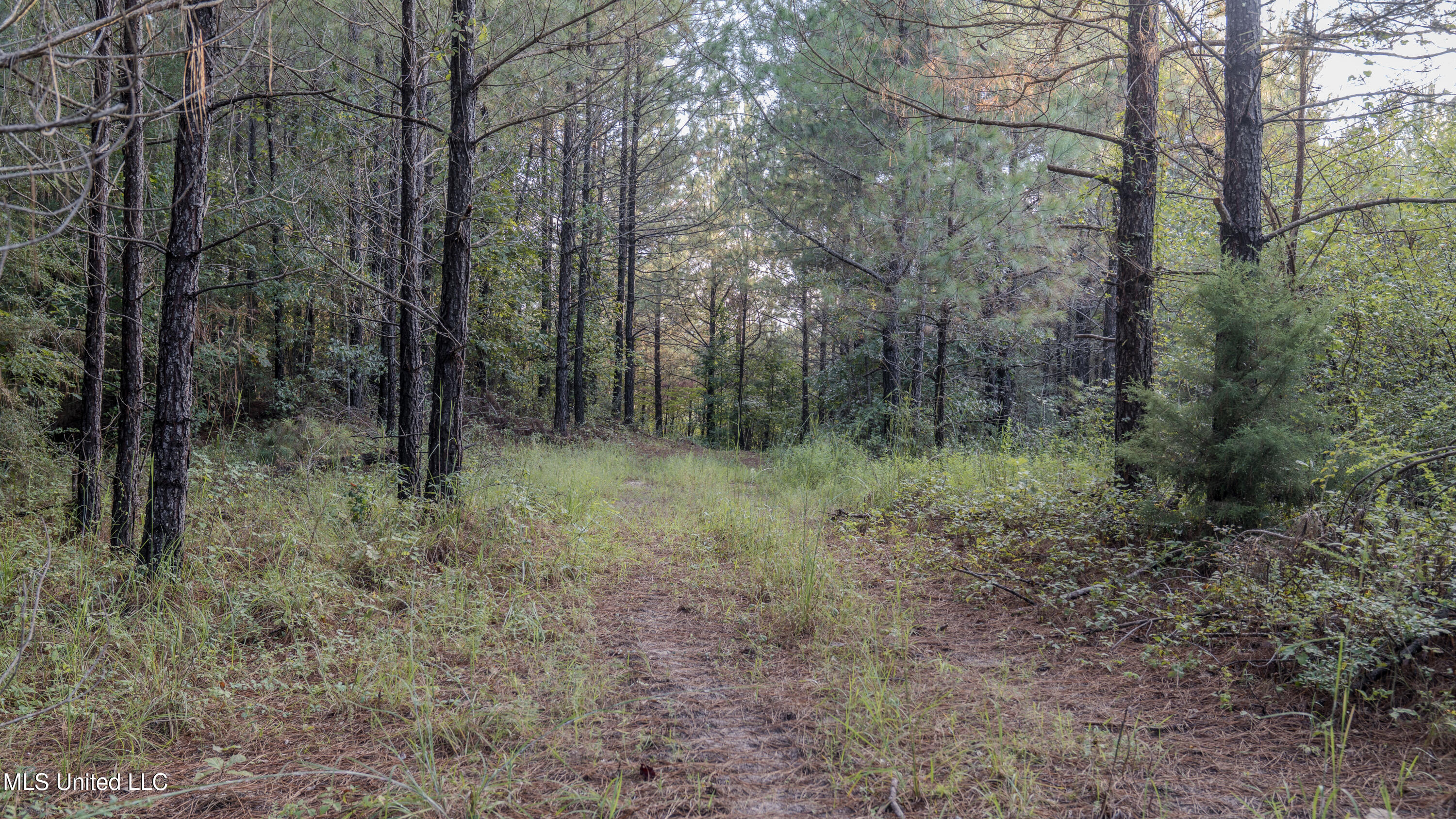 Airport Road Newton, MS 39345 - Photo 39 of 50 15MB-MLS Site-12