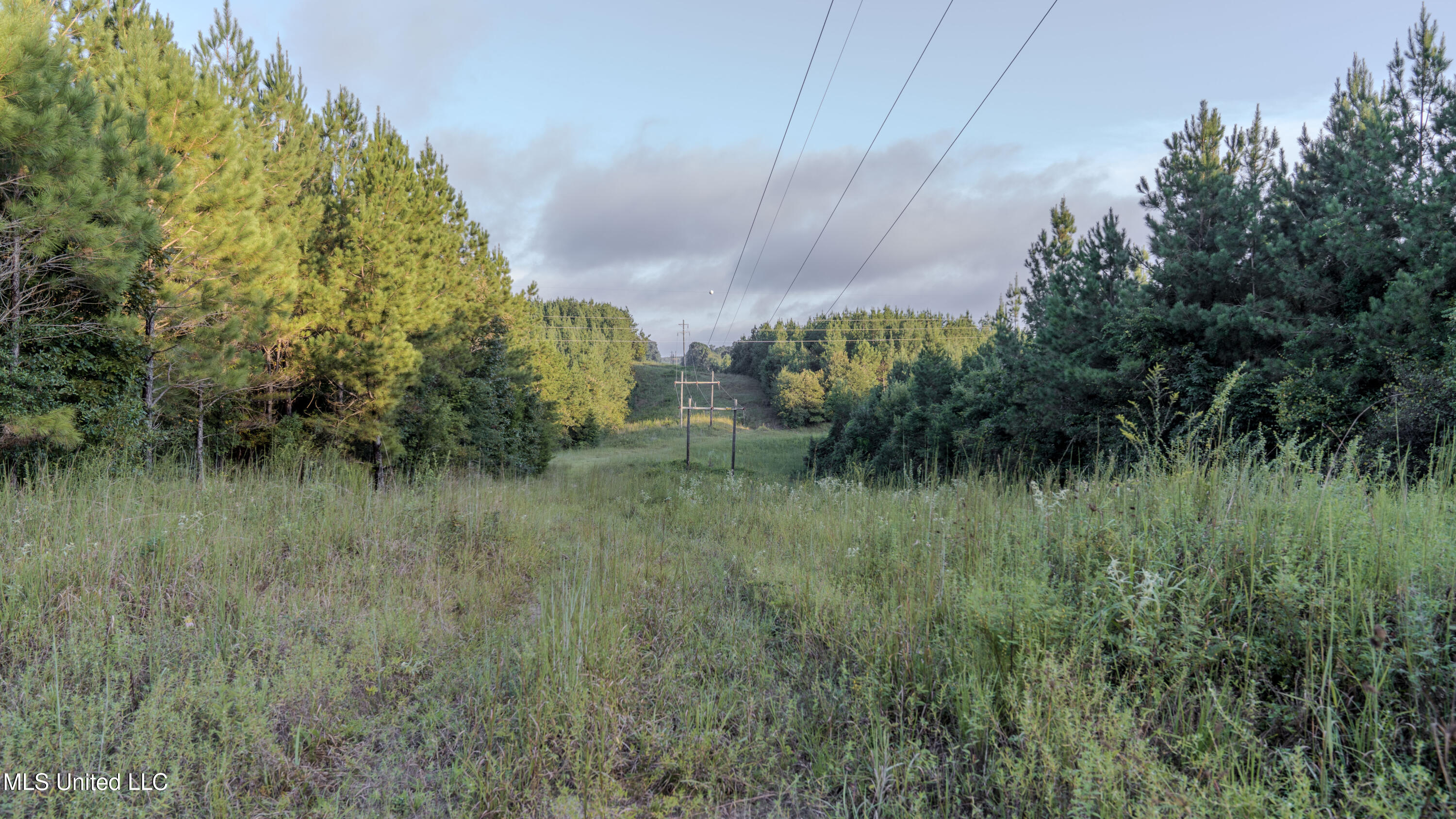 Airport Road Newton, MS 39345 - Photo 40 of 50 15MB-MLS Site-13