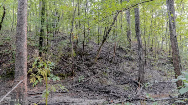 $176,640 | Airport Road, Newton, MS 39345