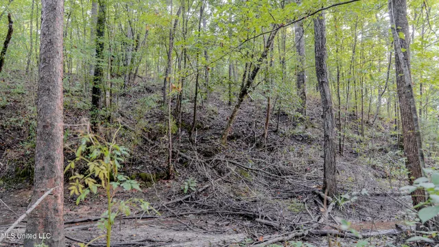 $176,640 | Airport Road, Newton, MS 39345