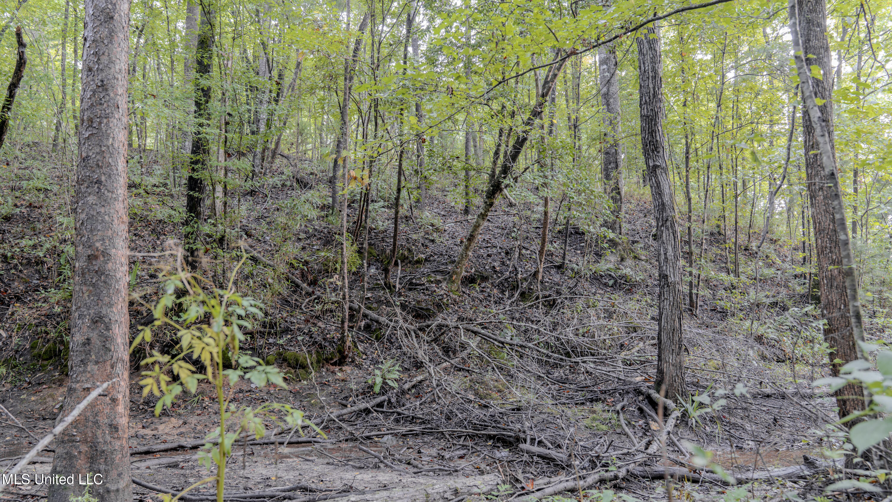 Airport Road Newton, MS 39345 - Photo 4 of 50 15MB-MLS Site-52