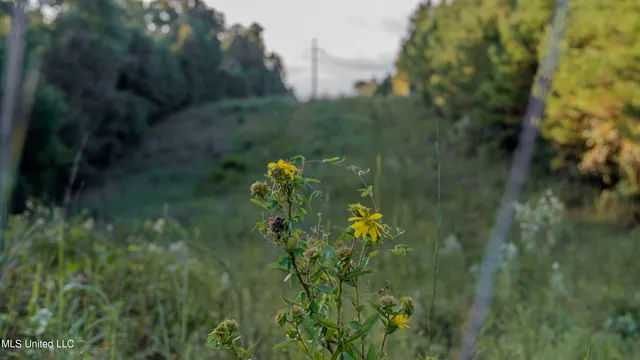 $176,640 | Airport Road, Newton, MS 39345