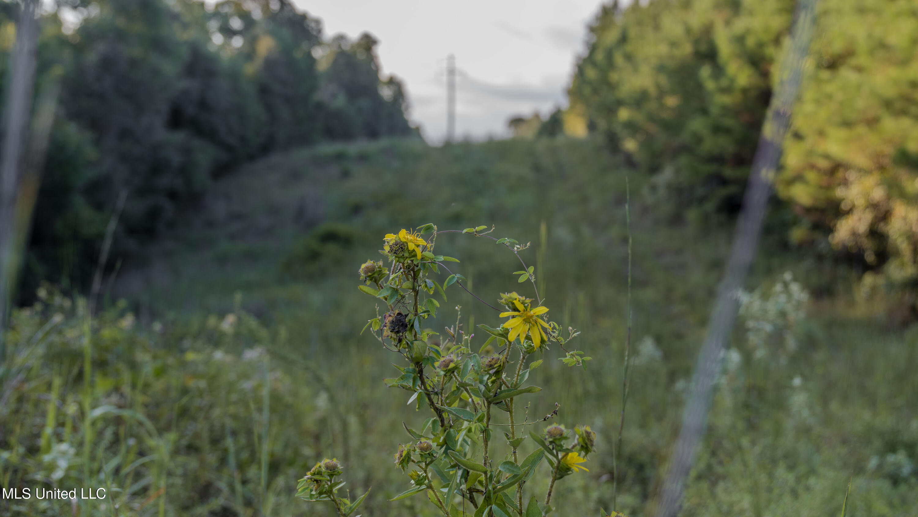 Airport Road Newton, MS 39345 - Photo 41 of 50 15MB-MLS Site-14