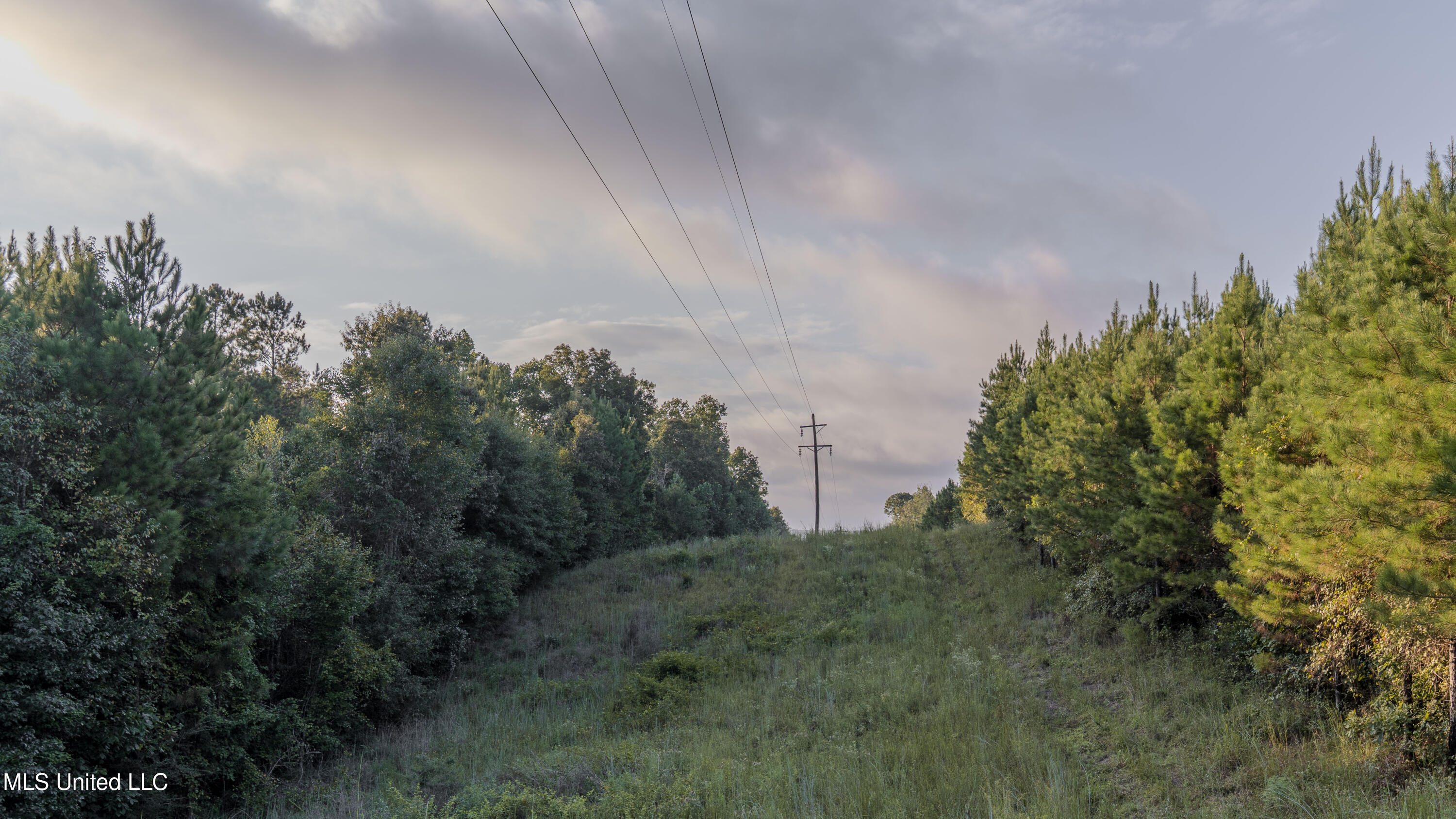 Airport Road Newton, MS 39345 - Photo 42 of 50 15MB-MLS Site-15