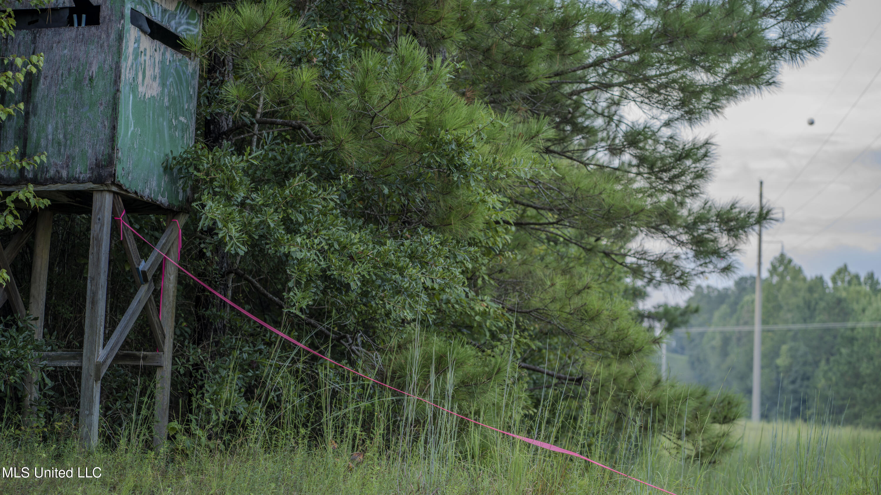 Airport Road Newton, MS 39345 - Photo 43 of 50 15MB-MLS Site-09