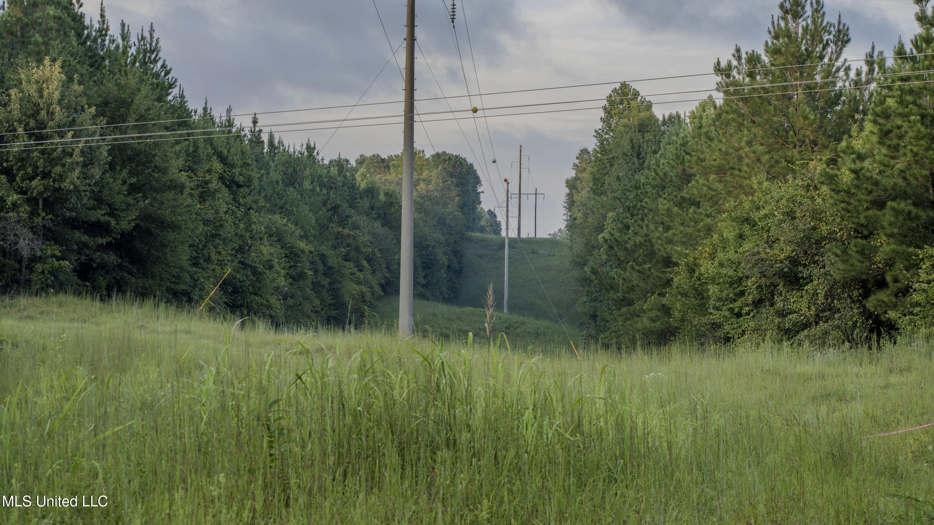 Airport Road Newton, MS 39345 - Photo 44 of 50 15MB-MLS Site-08