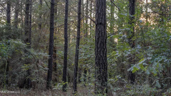 $176,640 | Airport Road, Newton, MS 39345