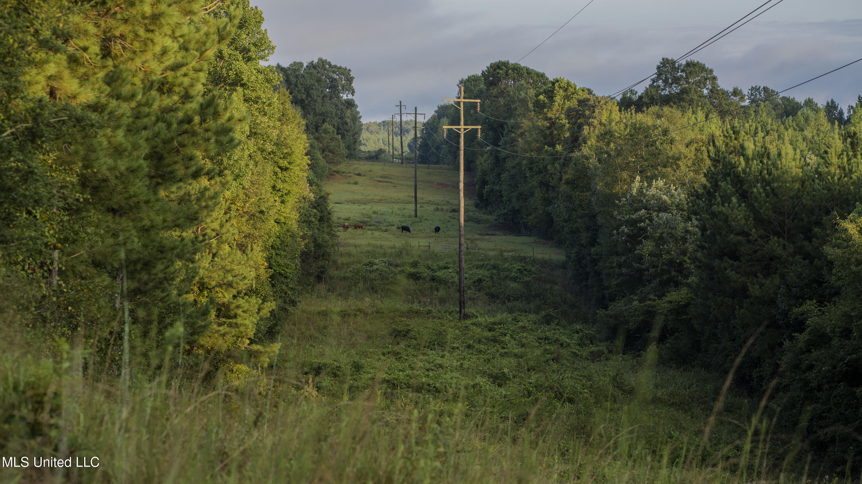 Airport Road Newton, MS 39345 - Photo 46 of 50 15MB-MLS Site-06