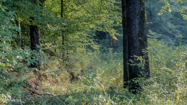 $176,640 | Airport Road, Newton, MS 39345