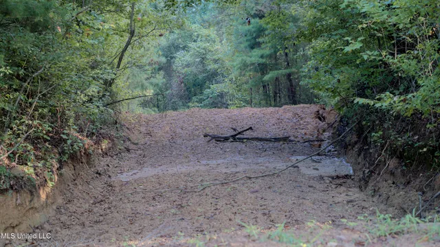 $176,640 | Airport Road, Newton, MS 39345