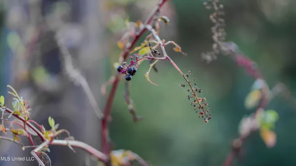 $176,640 | Airport Road, Newton, MS 39345