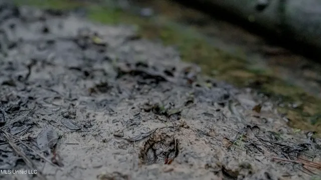 $176,640 | Airport Road, Newton, MS 39345