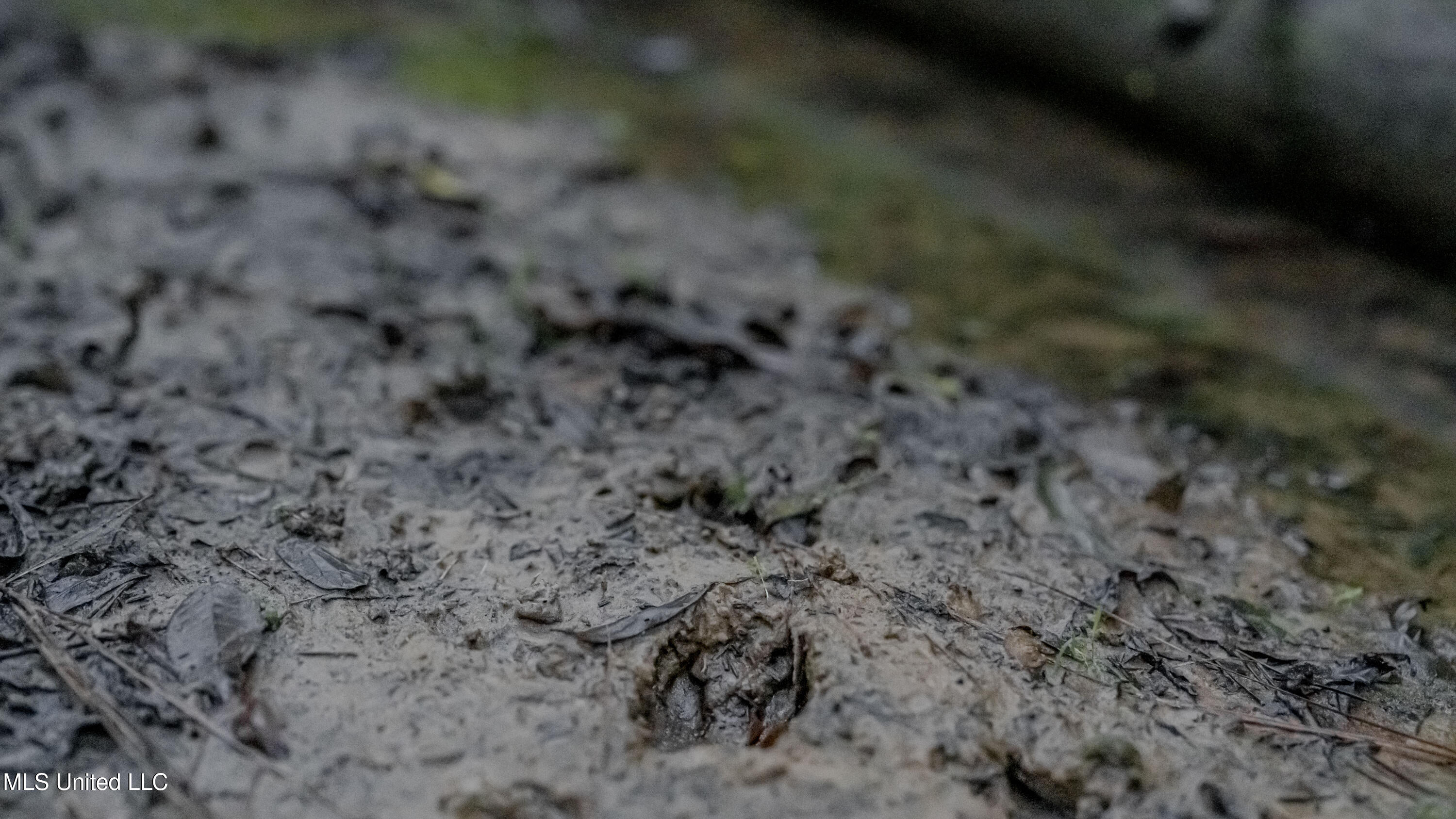 Airport Road Newton, MS 39345 - Photo 6 of 50 15MB-MLS Site-54