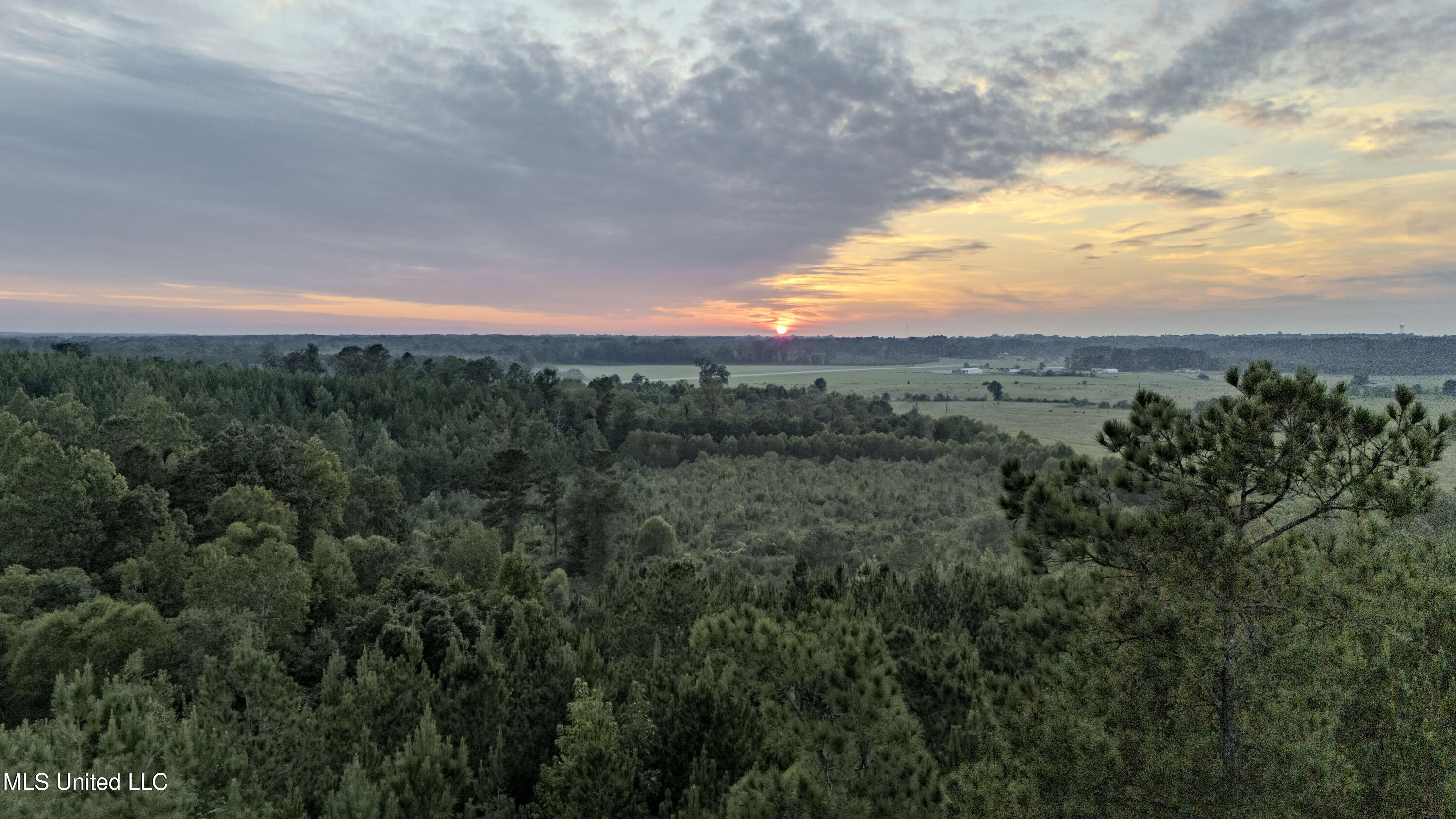 Airport Road Newton, MS 39345 - Photo 9 of 50 15MB-MLS Site-49