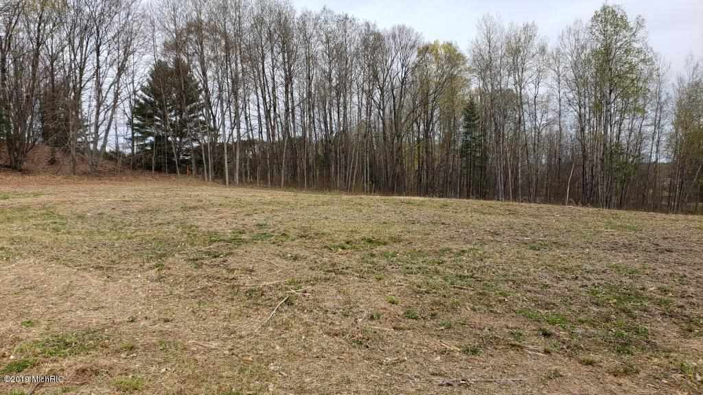 3 1/2 East 3 1/2 Mile Road Baldwin, MI 49304 - Photo 7 of 13