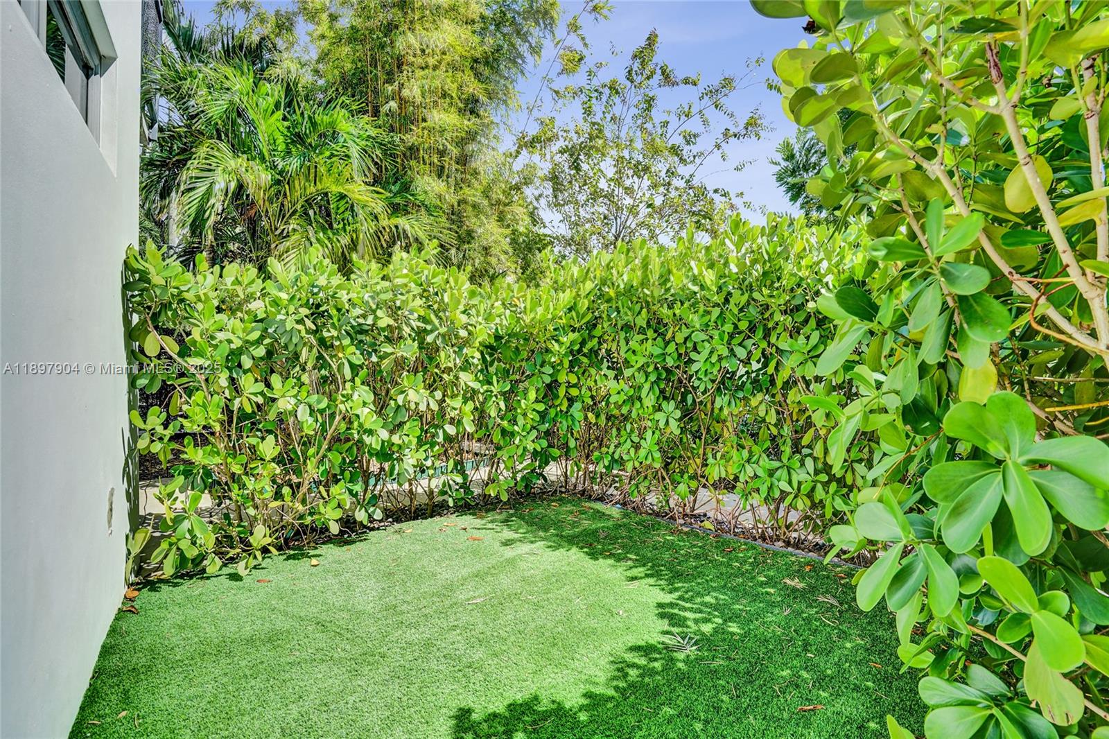 716 Southeast 12th Street, Unit 13 Fort Lauderdale, FL 33316 - Photo 38 of 45 a view of a yard with a tree