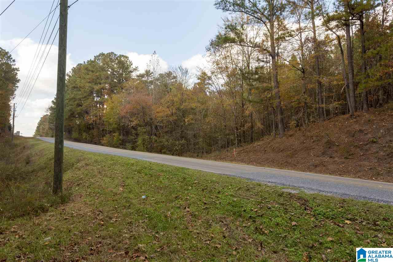 0 County Road 306 Calera, AL 35040 - Photo 8 of 9