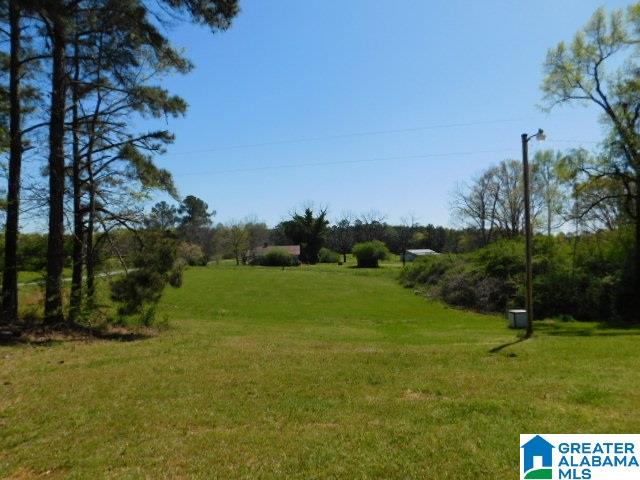 765 Mattox Road Ashland, AL 36251 - Photo 8 of 10