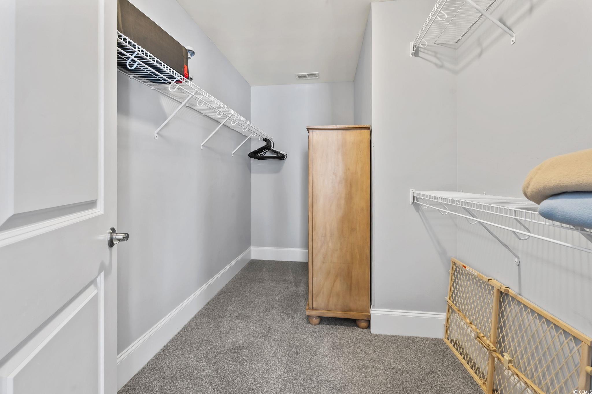 7401 North Ocean Boulevard, Unit 5 Myrtle Beach, SC 29572 - Photo 17 of 34 Walk in closet featuring light colored carpet