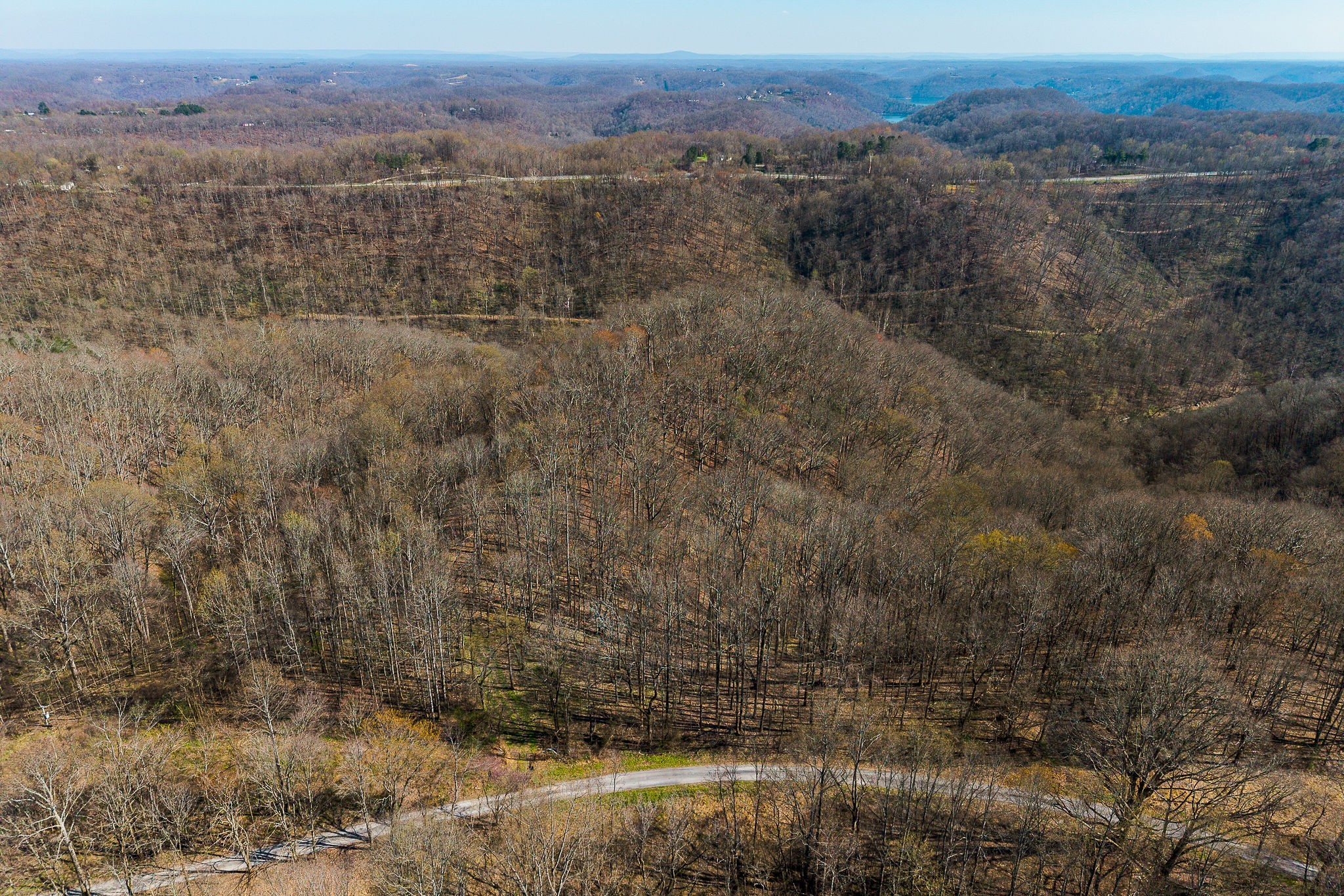 7860 Aunt Helen Road Silver Point, TN 38582 - Photo 16 of 37