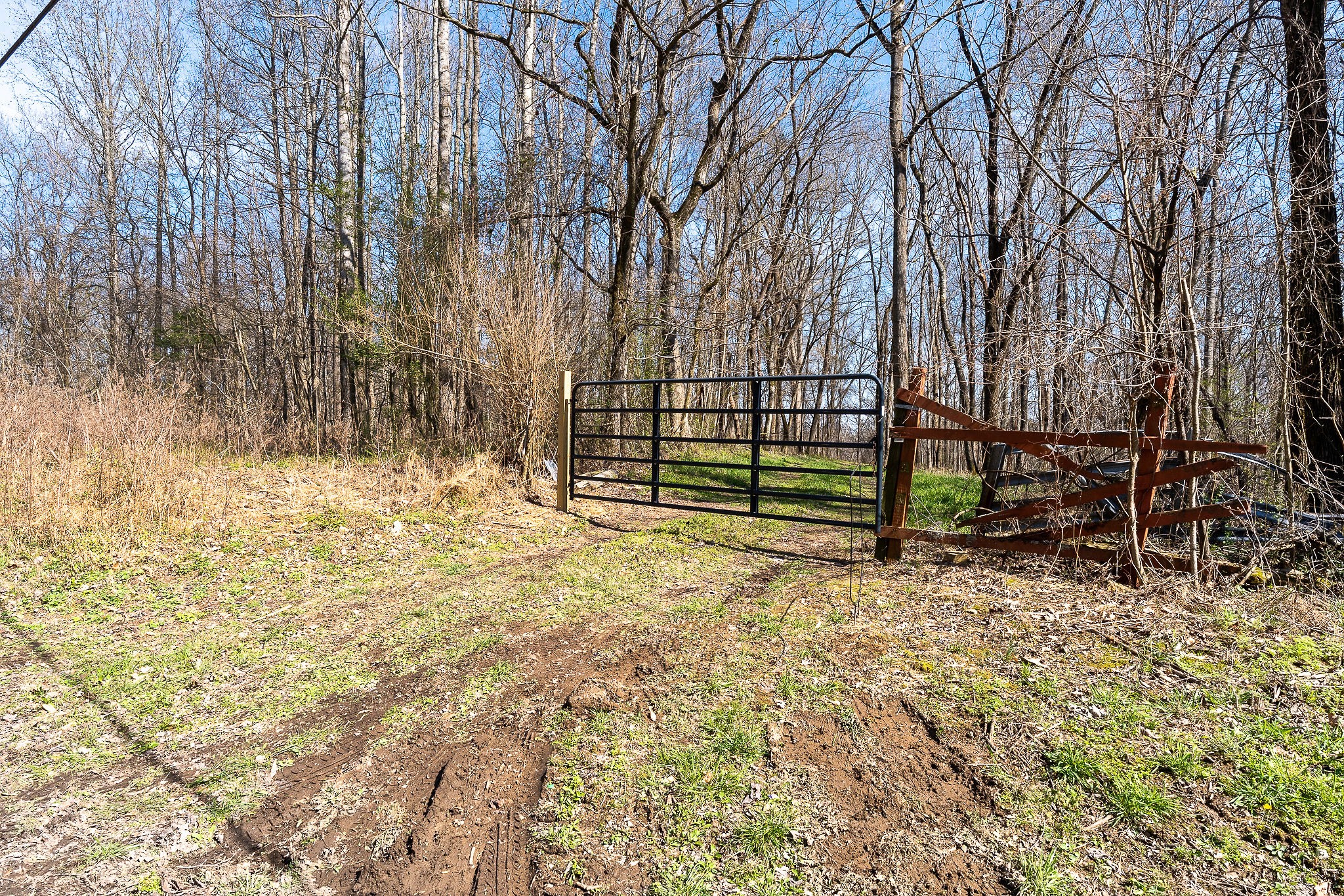 7860 Aunt Helen Road Silver Point, TN 38582 - Photo 26 of 37