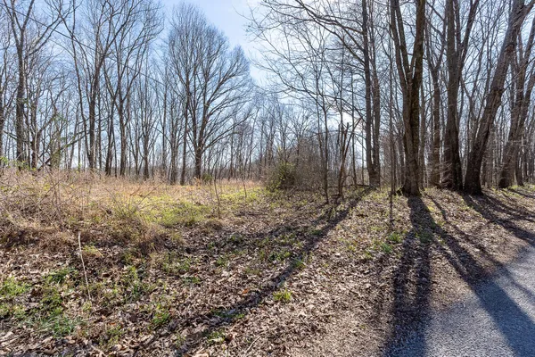 $949,900 | 7860 Aunt Helen Road, Silver Point, TN 38582
