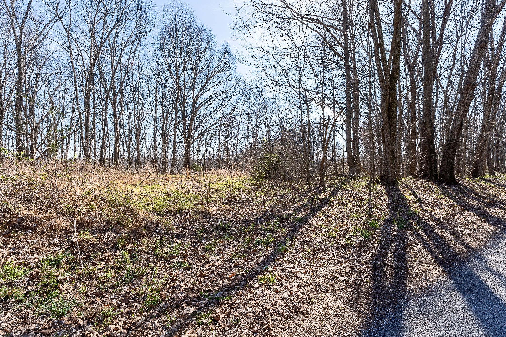 7860 Aunt Helen Road Silver Point, TN 38582 - Photo 27 of 37