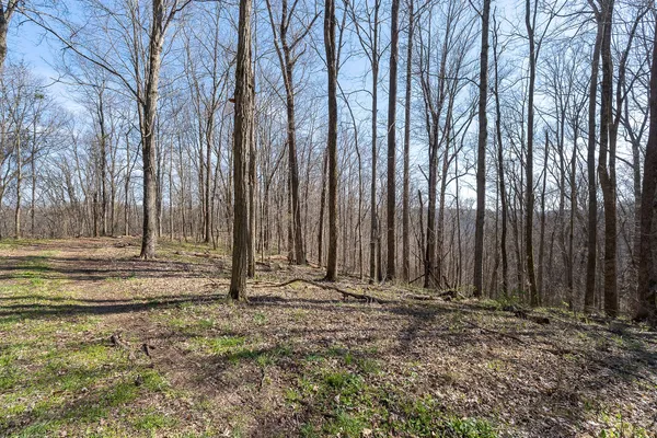 $949,900 | 7860 Aunt Helen Road, Silver Point, TN 38582