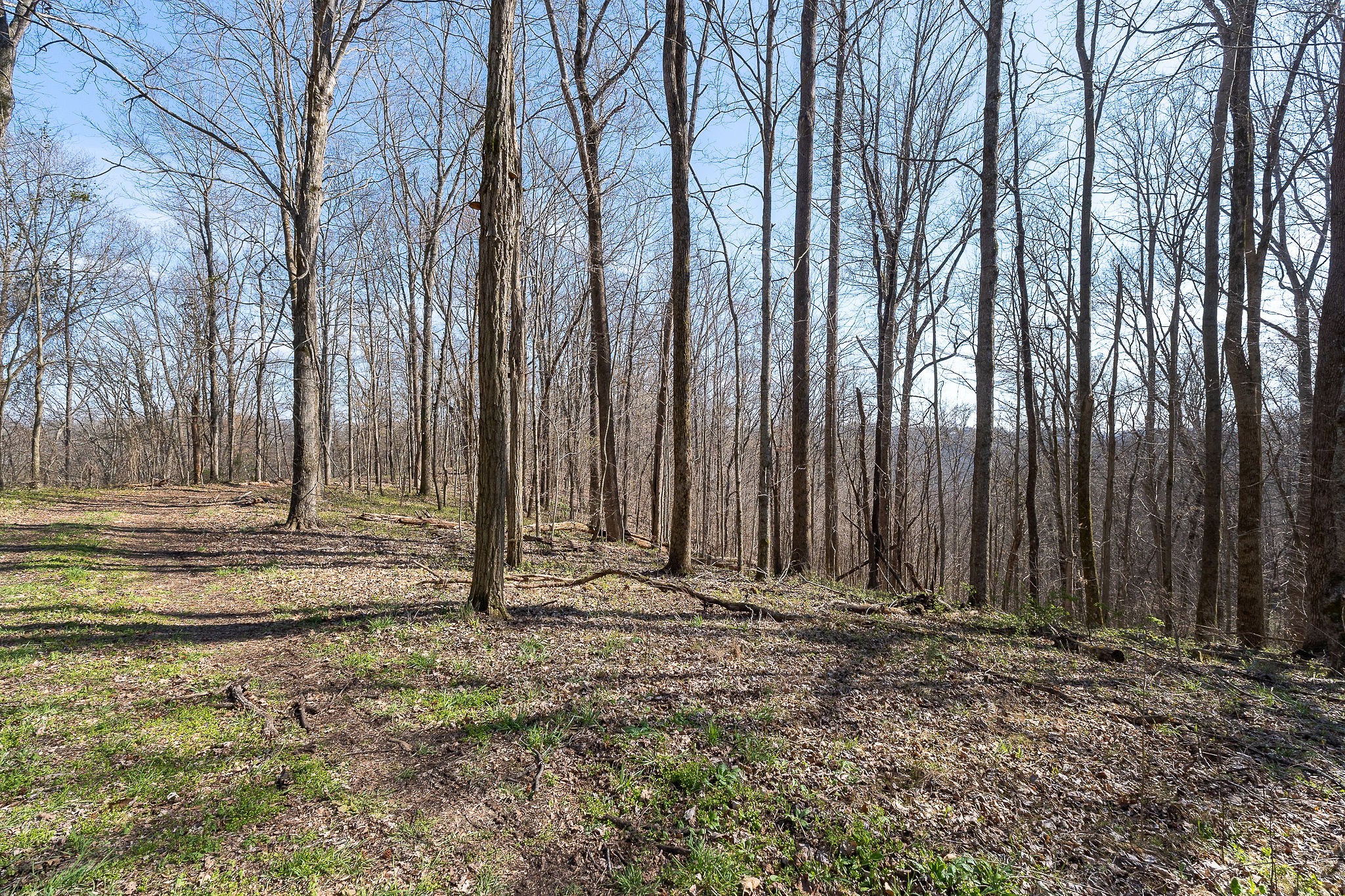 7860 Aunt Helen Road Silver Point, TN 38582 - Photo 29 of 37