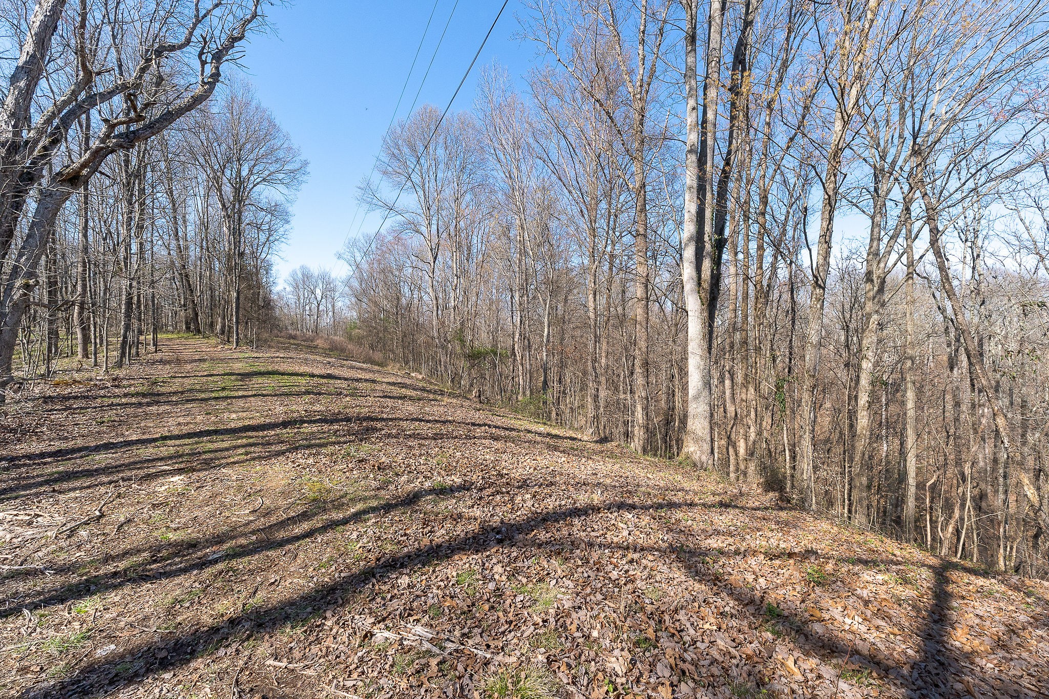 7860 Aunt Helen Road Silver Point, TN 38582 - Photo 30 of 37