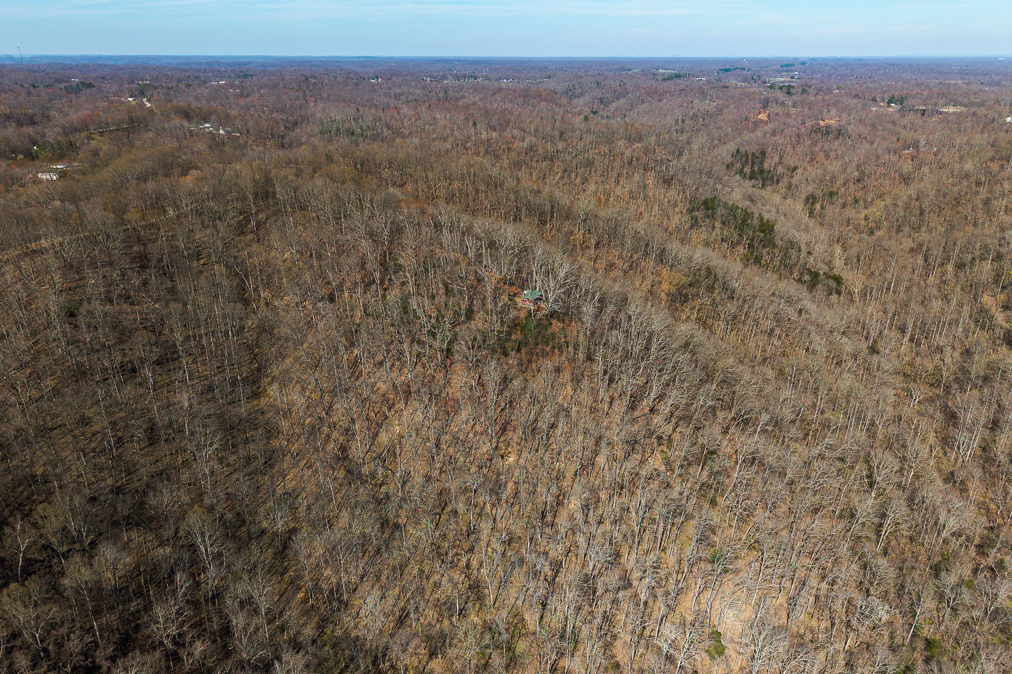 7860 Aunt Helen Road Silver Point, TN 38582 - Photo 9 of 37