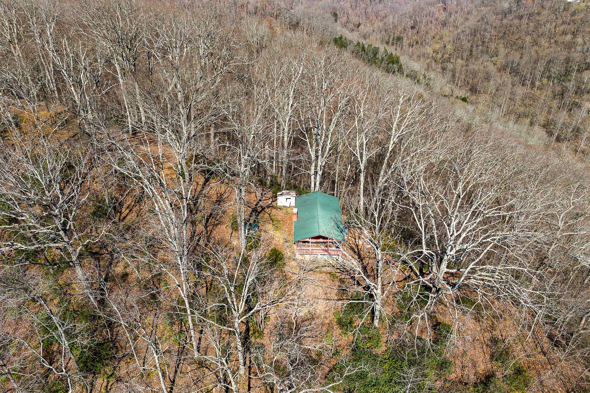 7860 Aunt Helen Road Silver Point, TN 38582 - Photo 10 of 37