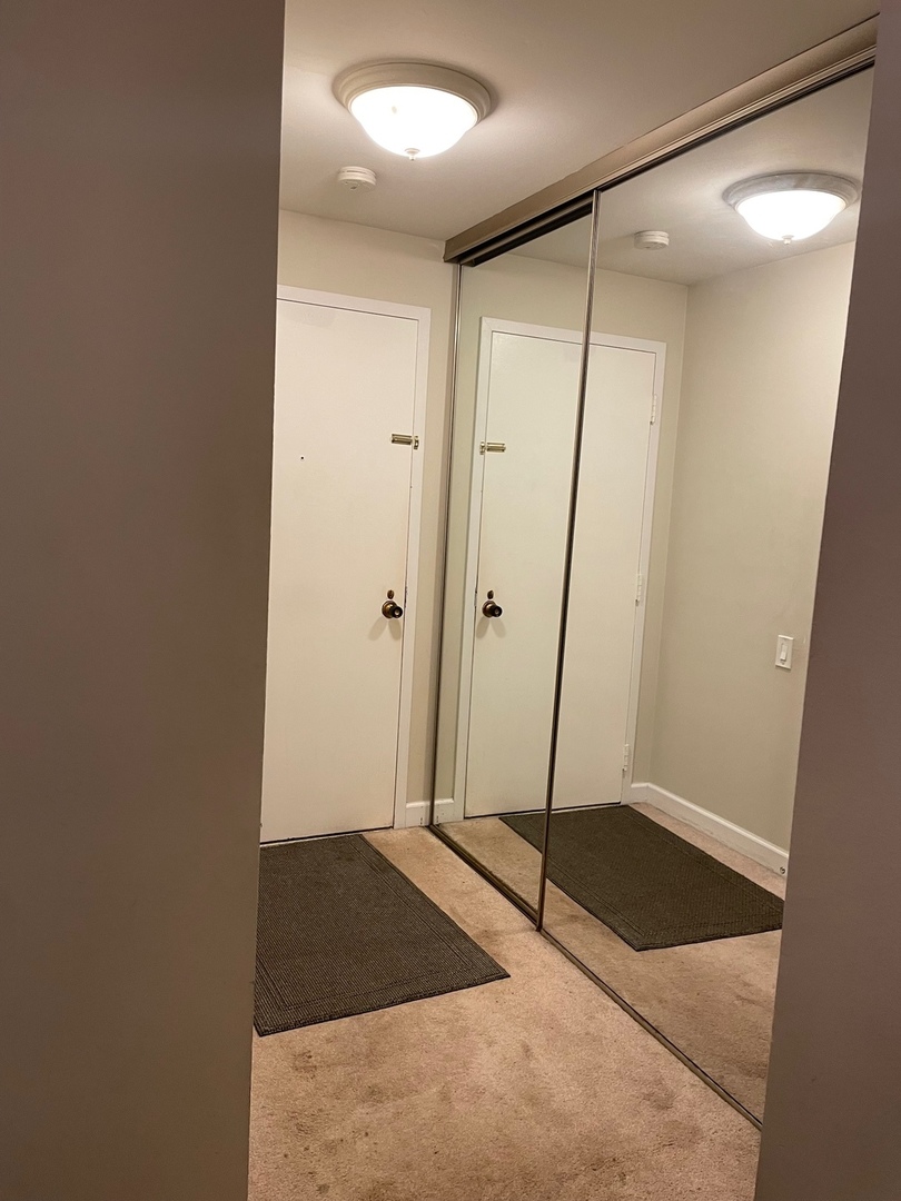 430 Walnut Creek Road, Unit 2306 Lisle, IL 60532 - Photo 2 of 14 a view of a bathroom