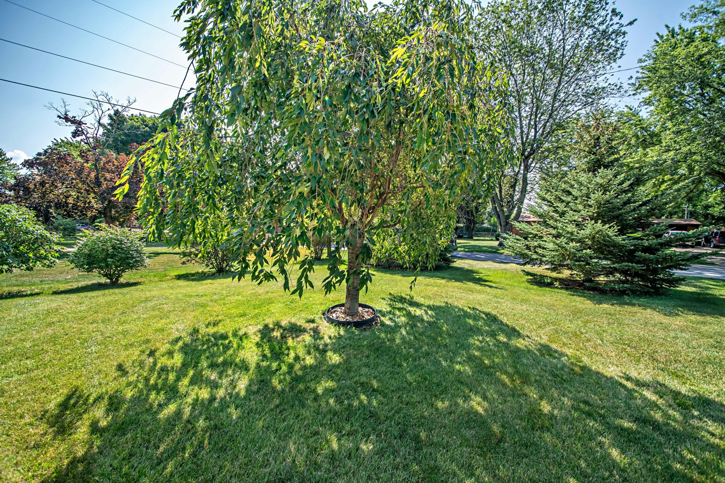 257 Fisk Road Benton Harbor, MI 49022 - Photo 29 of 31 DSC01532_