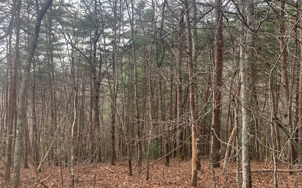 Lot20 Wolf Ridge Lane Murphy, NC 28906 - Photo 11 of 17 Additional View