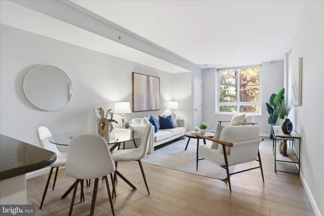 a living room with furniture a window and a potted plant