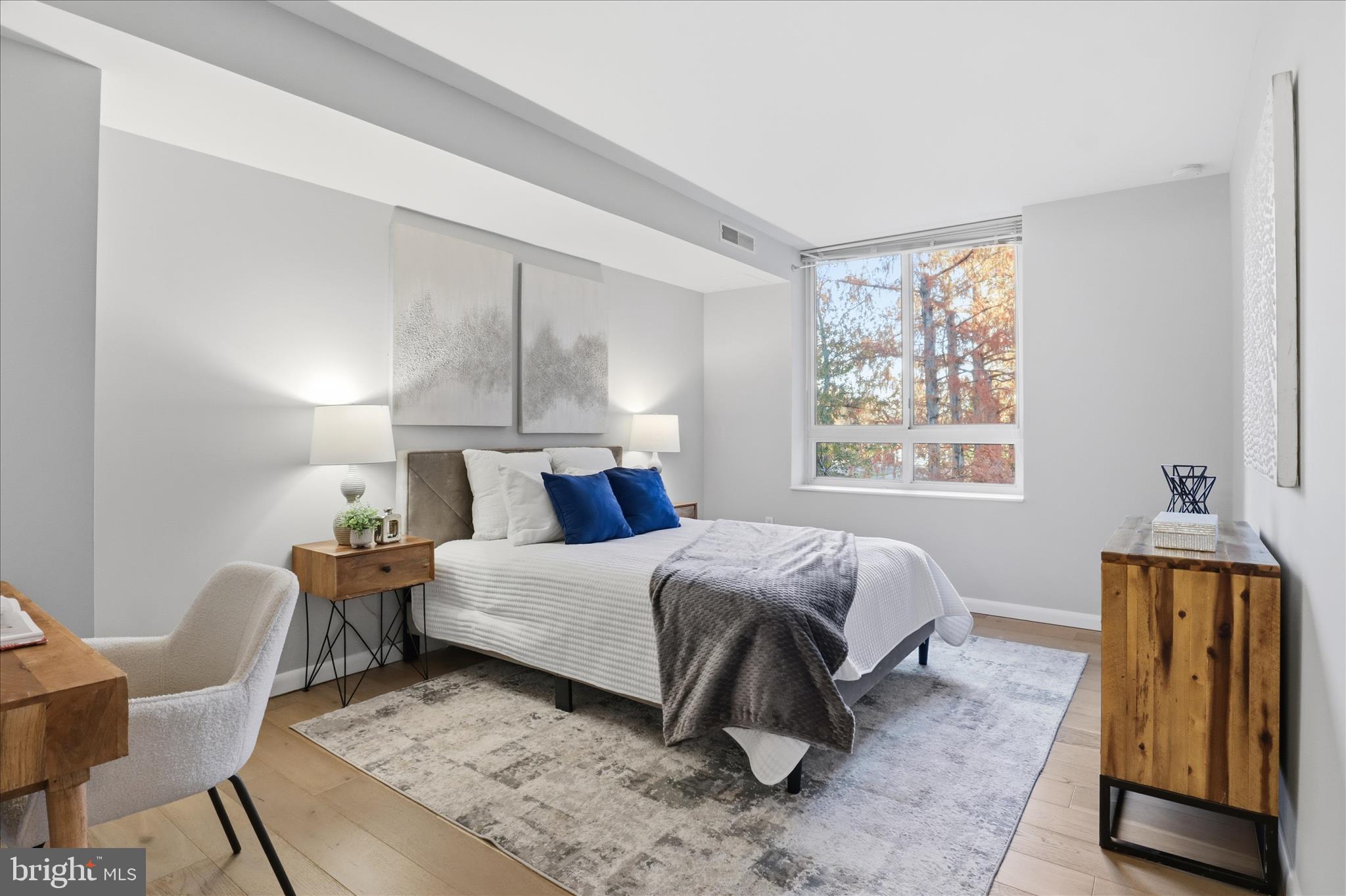 355 I Street Southwest, Unit 311 Washington, DC 20024 - Photo 16 of 54 Primary Bedroom