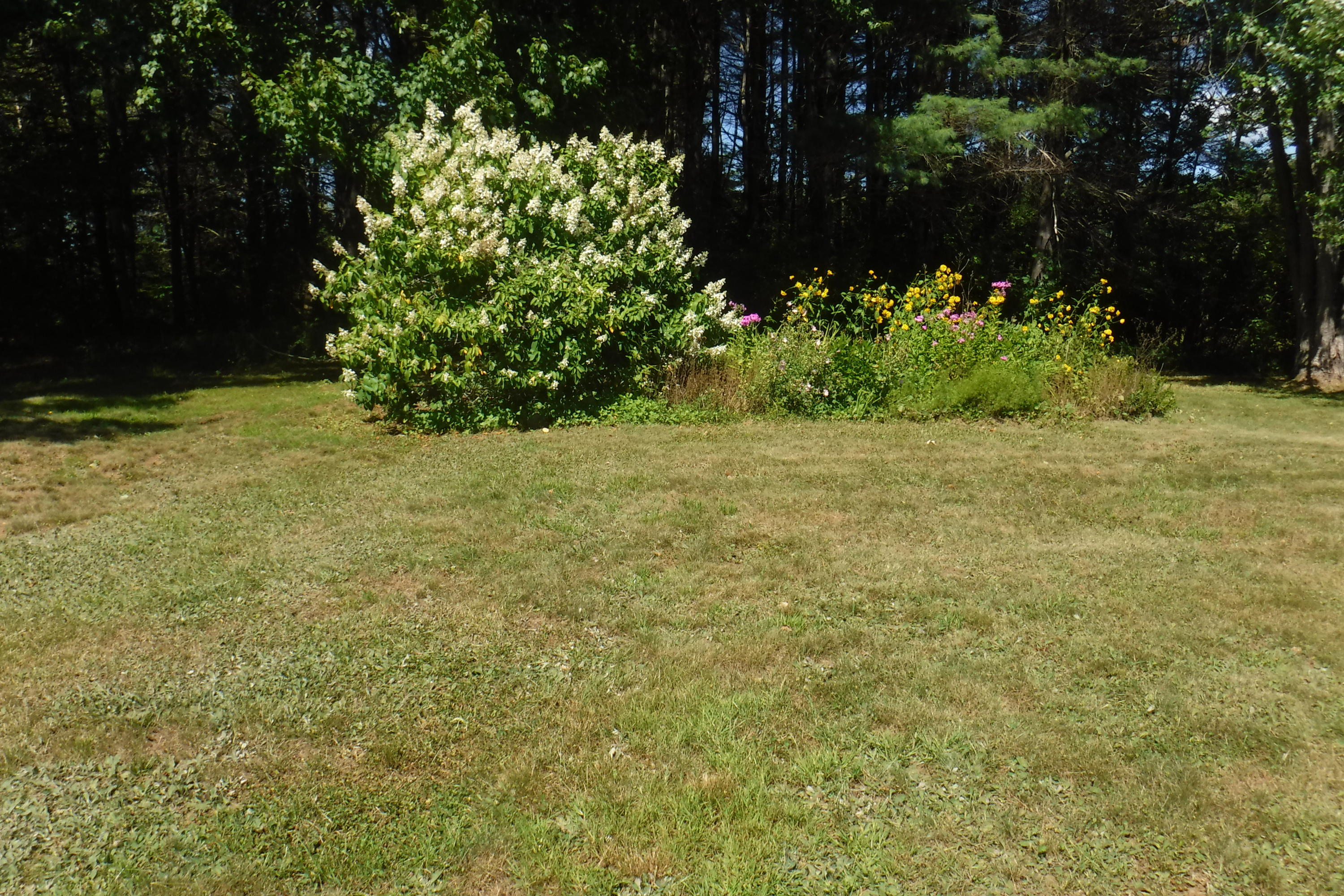 380 Starks Road New Sharon, ME 04955 - Photo 8 of 8 DSCF3915