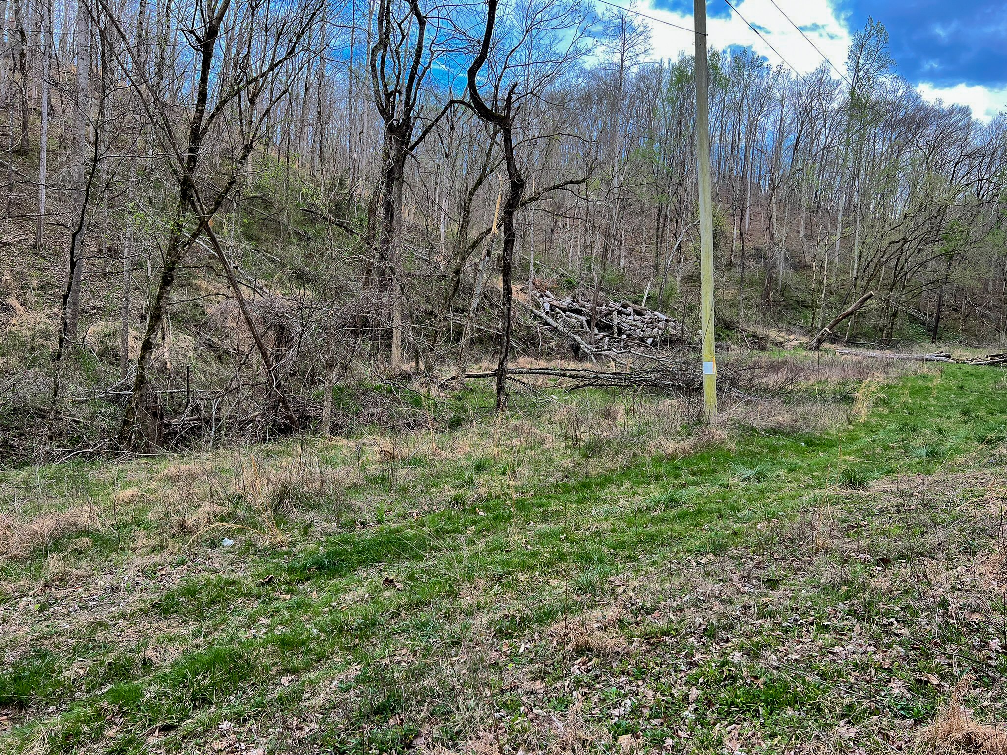 1755 Williams Road Centerville, TN 37033 - Photo 11 of 23 a backyard of a house with lots of green space