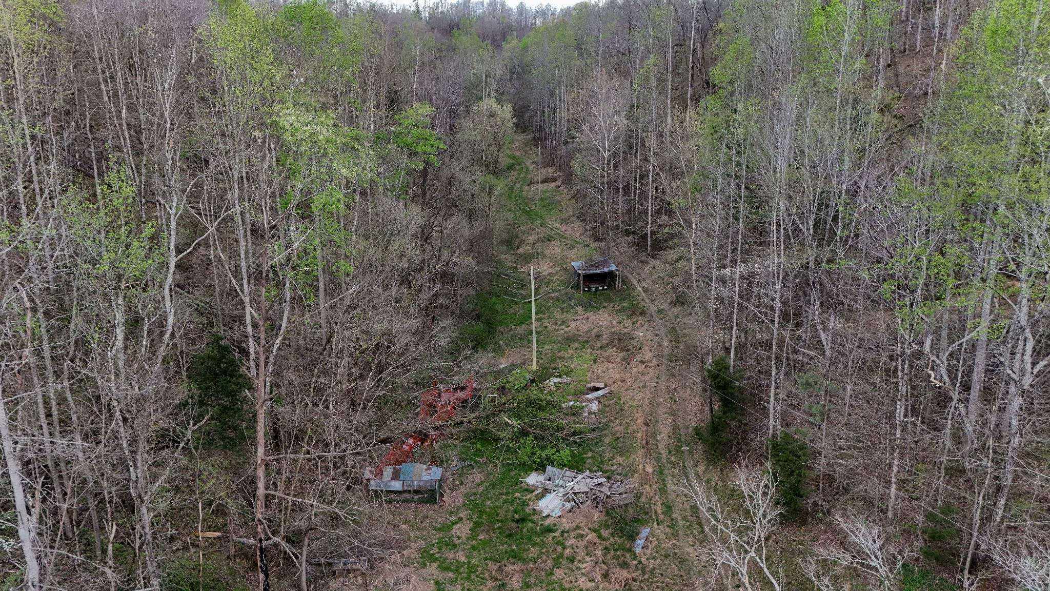 1755 Williams Road Centerville, TN 37033 - Photo 12 of 23 a backyard of a house with lots of plants and trees