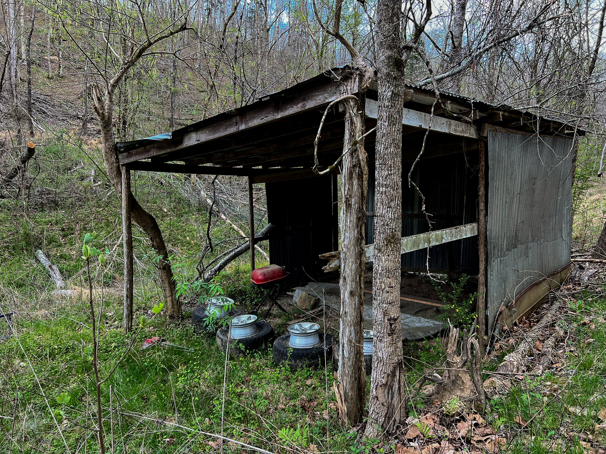 1755 Williams Road Centerville, TN 37033 - Photo 15 of 23 a view of outdoor space