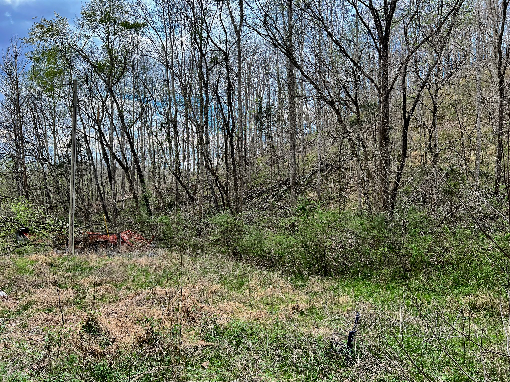 1755 Williams Road Centerville, TN 37033 - Photo 16 of 23 a view of a yard with plants and trees